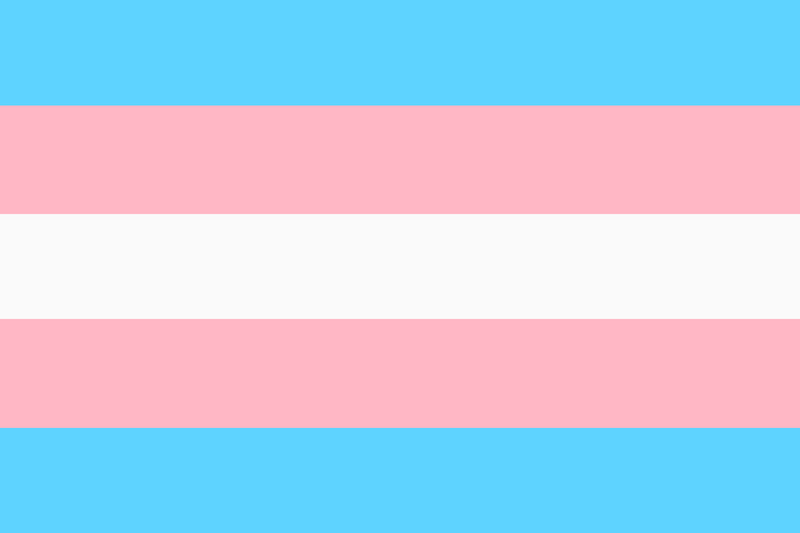 Transgender Pride Flag illustration